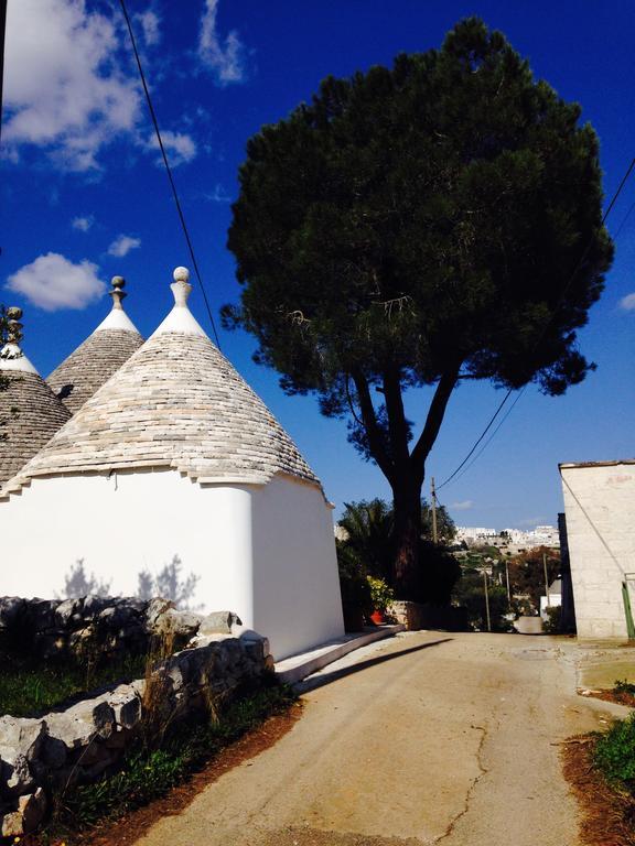 Гостевой дом Il Piccolo Trullo Чистернино Номер фото
